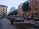 Nuovi alberelli piantumati in via Nizza