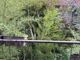 A Torino il maltempo estivo abbatte 242 alberi: &quot;In 4 anni +600% di piante cadute&quot;