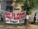 Alberi corso Belgio, Lo Russo: &quot;Attendiamo consulenza per decidere come procedere&quot;