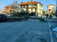 albero caduto a Grugliasco