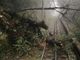 Un albero cade sui binari: sospesa la Tranvia Sassi-Superga