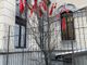 albero senza vita