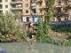 albero tagliato che cade nell'acqua