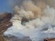 Dopo gli incendi piantiamo alberi anzichè polemiche