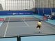 allenamenti allo sporting in vista delle Atp Finals