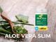 Integratori dimagranti: tra i più richiesti sul mercato i prodotti all'aloe vera