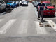 La Polizia Municipale salva 9 anatroccoli a San Salvario