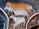 "HIC sunt Viperae": il 6 settembre breve storia degli animali ai piedi delle Alpi