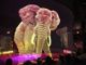 Animali in 3D protagonisti del Circus AtmoSphere a Moncalieri
