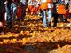 L'ultimo scherzo delle arance del Carnevale di Ivrea: diventano energia e compost
