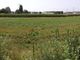 area vadò