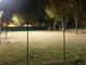 area cani illuminata