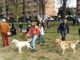 Liberi di correre, Pinerolo inaugura la prima area cani