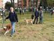 Percorso partecipato per la cura delle aree di sgambamento per cani