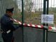 Oltre 30 cani rinchiusi in locali fatiscenti, tra escrementi e rifiuti: i carabinieri sequestrano una struttura abusiva [VIDEO]