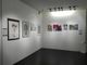 &quot;L'arte femminile in vetrina&quot; dall'8 maggio al 30 giugno