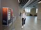 Al Politecnico assorbenti gratuiti per le studentesse