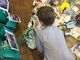 Chieri, laboratori di educazione ambientale nelle scuole dell'infanzia del territorio da lunedì 25 novembre