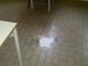 Edifici scolastici: approvati i progetti di fattibilità di due scuole elementari in via Germonio e via Banfo