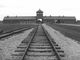 Promemoria Auschwitz oggi si racconta a Moncalieri