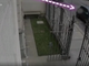 auto ripresa da una telecamera di sicurezza e indicata da una freccia