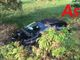 Asti, auto finisce in un fosso per evitare un cinghiale, lievi lesioni per l'automobilista torinese