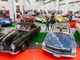 Ad Automotoracing una pista tutta nuova per gli appassionati della velocità