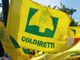 Ivrea, i terreni intorno alla Variante del Peduncolo restano agricoli
