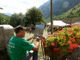 Nel weekend itinerario enogastronomico a Bardonecchia con &quot;Vivi Rochemolles&quot;