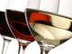 Città del gusto Torino - Gambero Rosso, il primo corso ad Alba è &quot;ABC del VINO&quot;