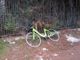 Ancora atti vandalici sulle biciclette free-floating a Torino (FOTO)