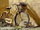 Torna ArchiBike: l'architetto che racconta la città in bicicletta