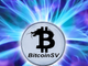 Bitcoin SV fa un balzo del 50% così come le altre fork di BTC e questo clone