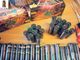 Capodanno, ingente sequestro di fuochi artificiali illegali al mercato di piazza Foroni