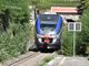 La denuncia del gruppo regionale M5S: &quot;Treni per il mare strapieni, Liguria miraggio per molti piemontesi&quot;