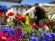 Agriflor non si ferma: appuntamento con i vivaisti in piazza Vittorio Veneto