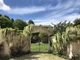 Piante utili, piante dannose, una questione di percezione: visita guidata al Parco del Castello di Miradolo