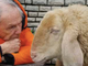Al Maestro dell'animazione Bruno Bozzetto il Premio Stella della Mole Green