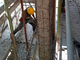 Viabilità, ad Alpignano sul ponte della Doria sulla sp 178 continuano i lavori di ripristino