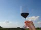 Coldiretti Piemonte, commercio estero: &quot;Vino primeggia nell’export ed il cibo made in Italy cresce&quot;