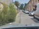 Erba alta sul passaggio pedonale e in strada delle Ghiacciaie non si passa più