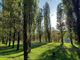 Ruota panoramica ai Giardini Ginzburg, raccolte oltre 620 firme per chiedere di cambiare location