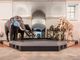 Una Notte al Museo delle Scienze Naturali con Club Silencio