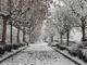 Nel weekend rischio neve anche a bassa quota nel Torinese