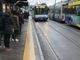 autobus gtt - foto di repertorio