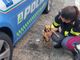 cagnolino salvato dalla Polstrada