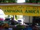 Tutti gli appuntamenti nel torinese con i mercati di Campagna Amica