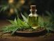 Olio di CBD: Benefici, Usi e Linee Guida per un Utilizzo Responsabile