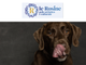 A Torino un corso per comprendere il cane e imparare il suo linguaggio