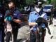 Chieri, sedici cani abbandonati in un canile abusivo: denunciata la proprietaria [VIDEO]